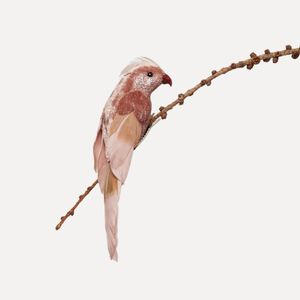 Hovedbilde UND Fj&aelig;r Papeg&oslash;ye - rosa