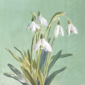 Hovedbilde Servietter Bunch of Snowdrops Green - lunsj