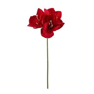 Hovedbilde Amaryllis r&oslash;d 63cm