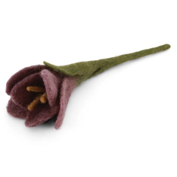 Ullblomst Crocus rosalilla - 18 cm