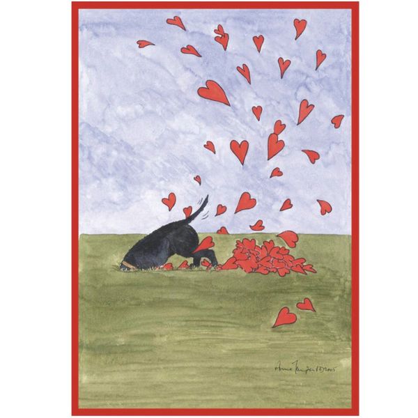 Kort - Digging For Love