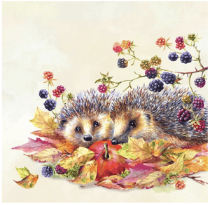 Hovedbilde Hedhehog Friends Cream (Lunsj)