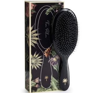 Hovedbilde Fan Palm  Large Stardust