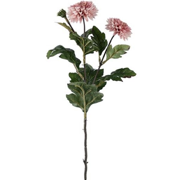 Krysantemum rosa 35cm
