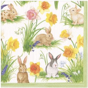 Hovedbilde Servietter Bunnies and Daffodils - middag